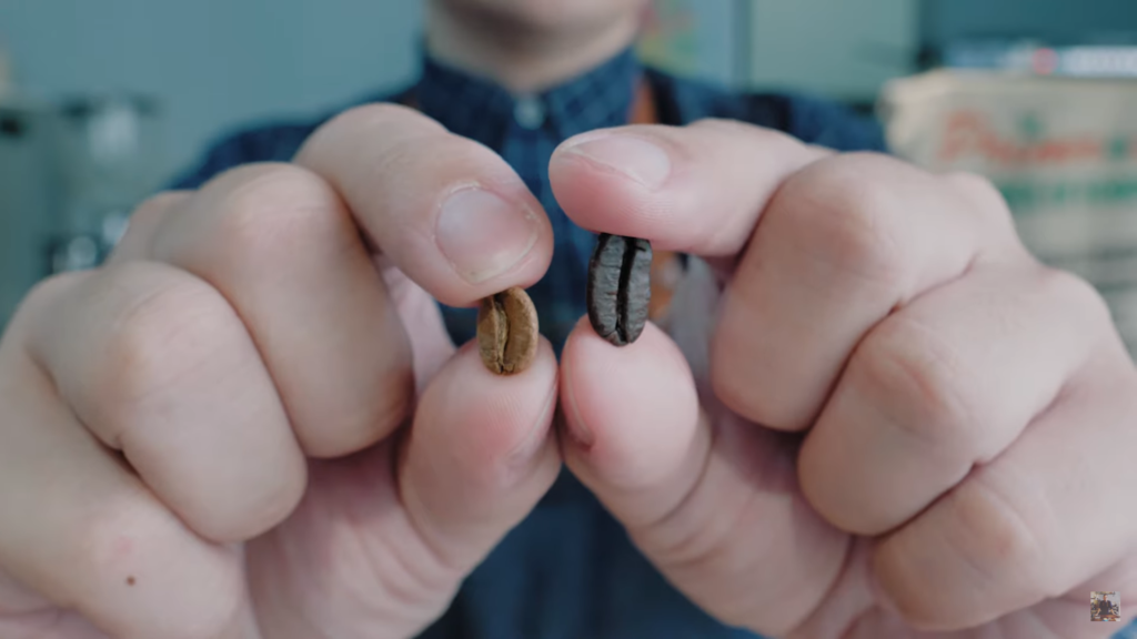 深、淺咖啡豆體積示意圖