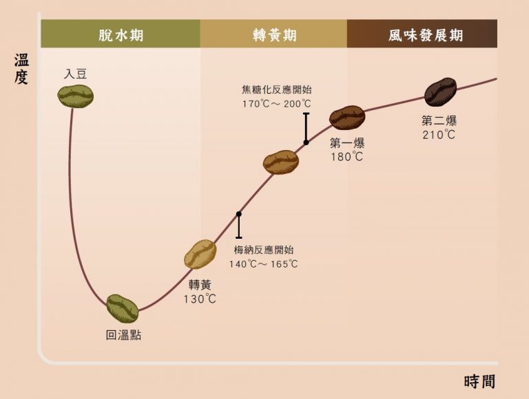 咖啡烘焙曲線圖