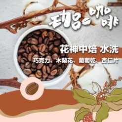 瓜地馬拉 / 花神中焙 水洗