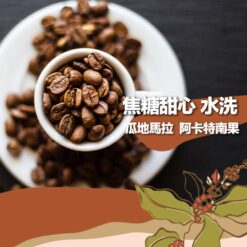 瓜地馬拉 / 焦糖甜心 水洗