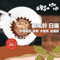 衣索比亞 古吉 / 紫風鈴 日曬