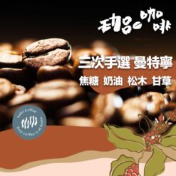 印尼 / 黃金曼特寧 濕袍法