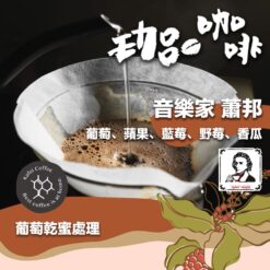 哥斯大黎加 / 音樂家蕭邦
