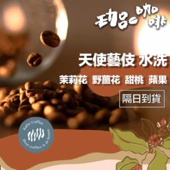 衣索比亞 果丁丁 / 天使藝妓 水洗