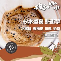 哥倫比亞 / 杉木盛宴 熱衝擊