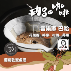 哥斯大黎加 / 音樂家巴哈